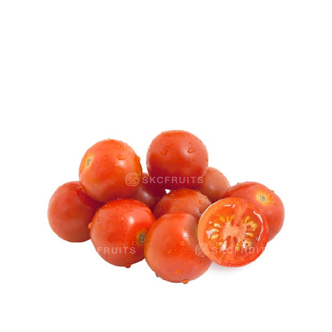 Holland Tomato
