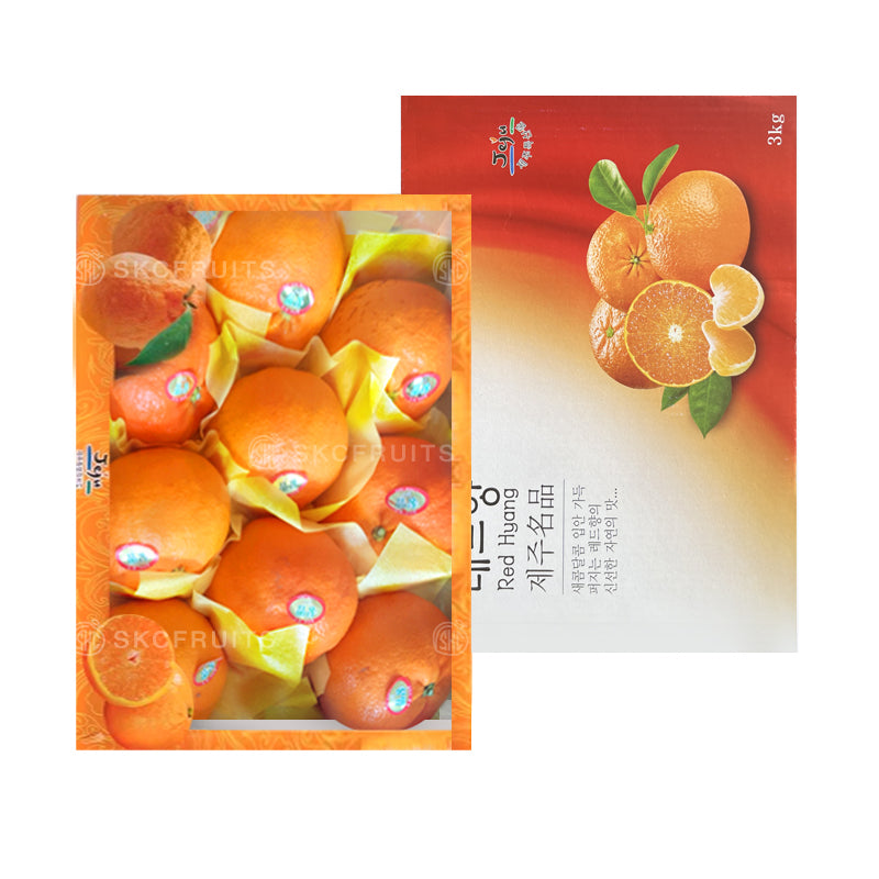 Jeju Orange Red Hyang Korea Red Pearl Oranges